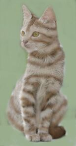 Leafstar