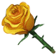 Yellowrosee copy (2)