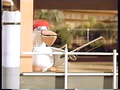Thumbnail for version as of 01:19, September 5, 2013