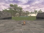 Hare Familiar