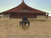 Crabfam