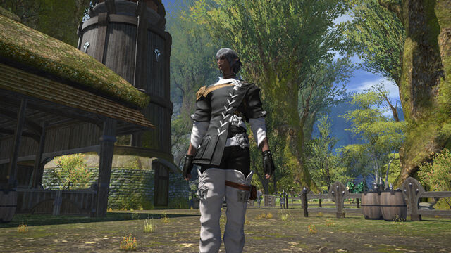 File:Elezen 001.jpg