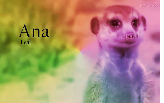 Archivo:Anaintro.png