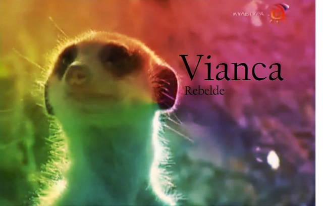 Archivo:Viancaintro.png
