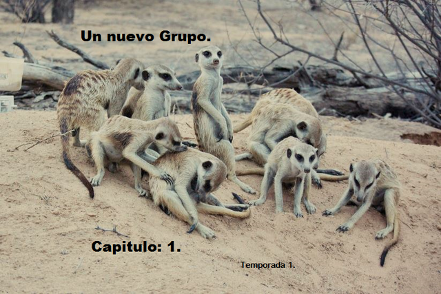 Archivo:U n.png