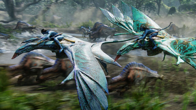 File:Mountainbanshee.jpg