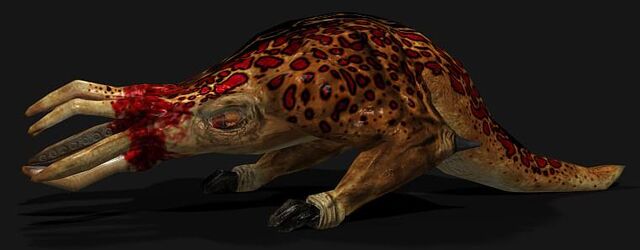 File:Bullsquid.jpg