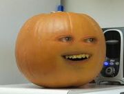 Pumpkin