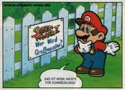 Mario SF1