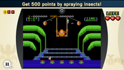NESR Bonus 05
