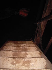 Basement-stairs