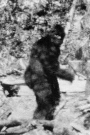 Bigfootcalifornia1967-1-
