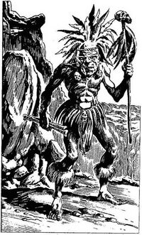 Ilk shaman