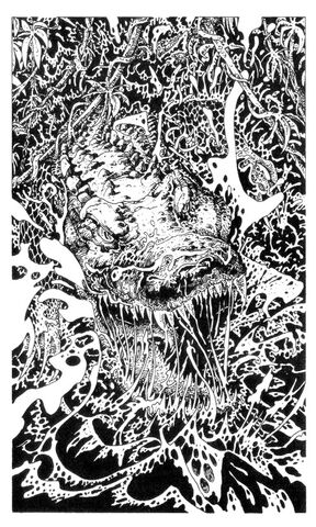 File:Swamp Alligator.jpg