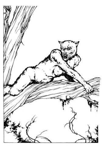 File:Catwoman.jpg