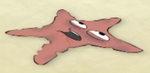 Starfish.dead