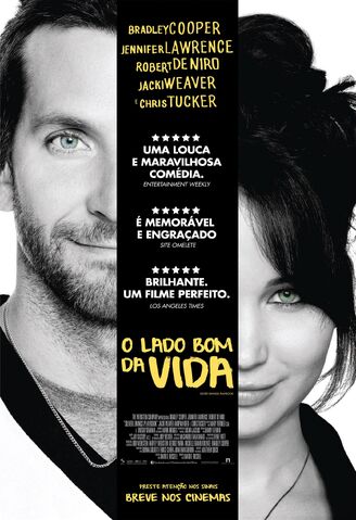Arquivo:Lado-bom-da-vida-silver-linings-playbook.jpg