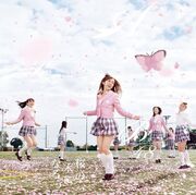 605px-SakuraLimiB