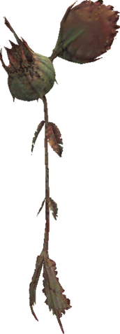File:Flytrap 1 (FFXI).png