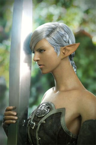 File:Elezen 2.jpg
