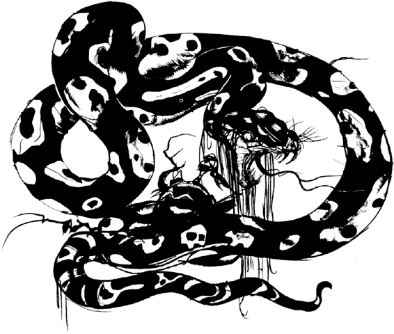 File:Amano FF1 Anaconda.gif