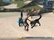 Ff12 oil