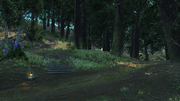 FFXIV Silent Arbor