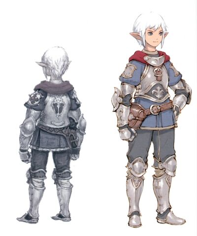 File:FFXI-SandOriaKnight.jpg