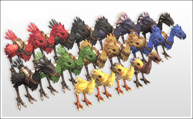 File:FFXI-ChocoboBreed.jpg