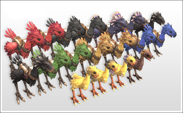 Image - FFXI-ChocoboBreed.jpg | Final Fantasy Wiki | FANDOM powered by