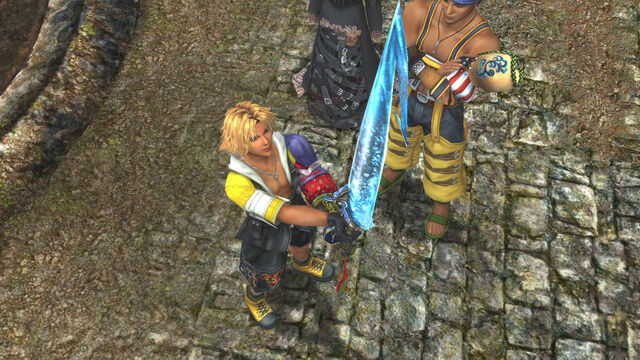 File:Tidus receiving Brotherhood.jpg