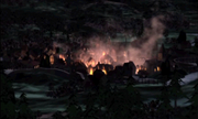 Fynn Burning