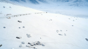Snowfield-FFXV-Episode-Prompto-Ending-DLC