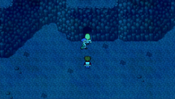 FFD Underwater Cave