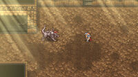 FFII Coliseum.jpg