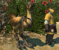 Chocobo FFXIV.png