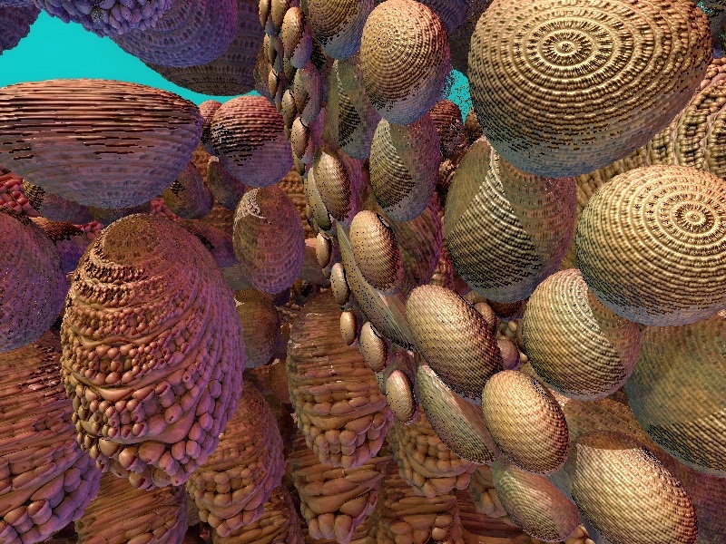 Pine Cone Jungle