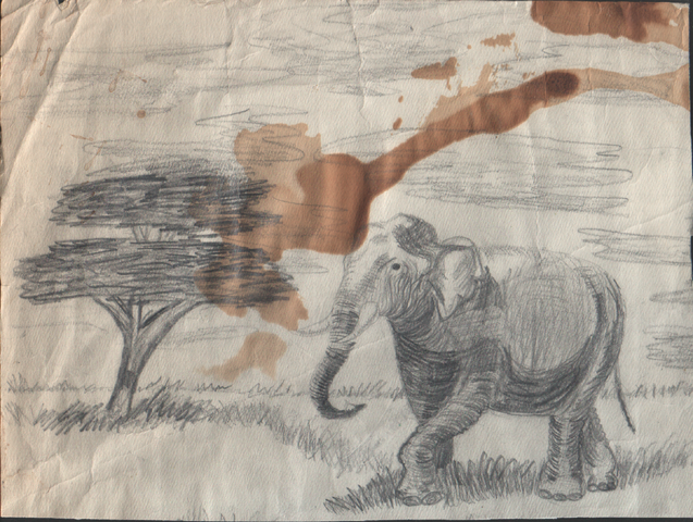 File:Elephant-savanah-tree.png