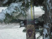 Black-cap-march-1-2012-011