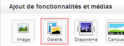 Galerie article.png