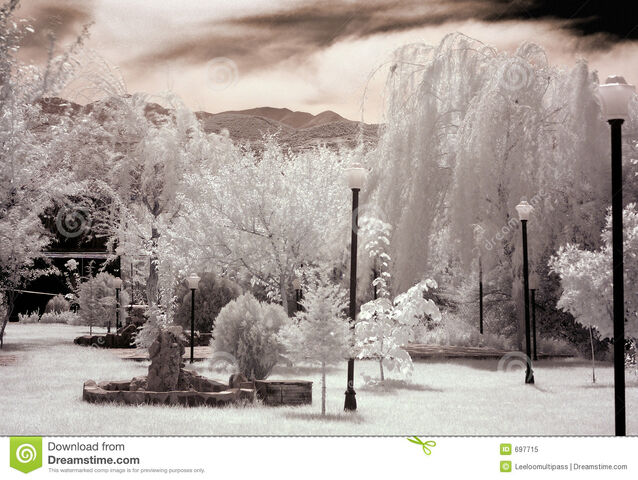File:WhiteGarden.jpg