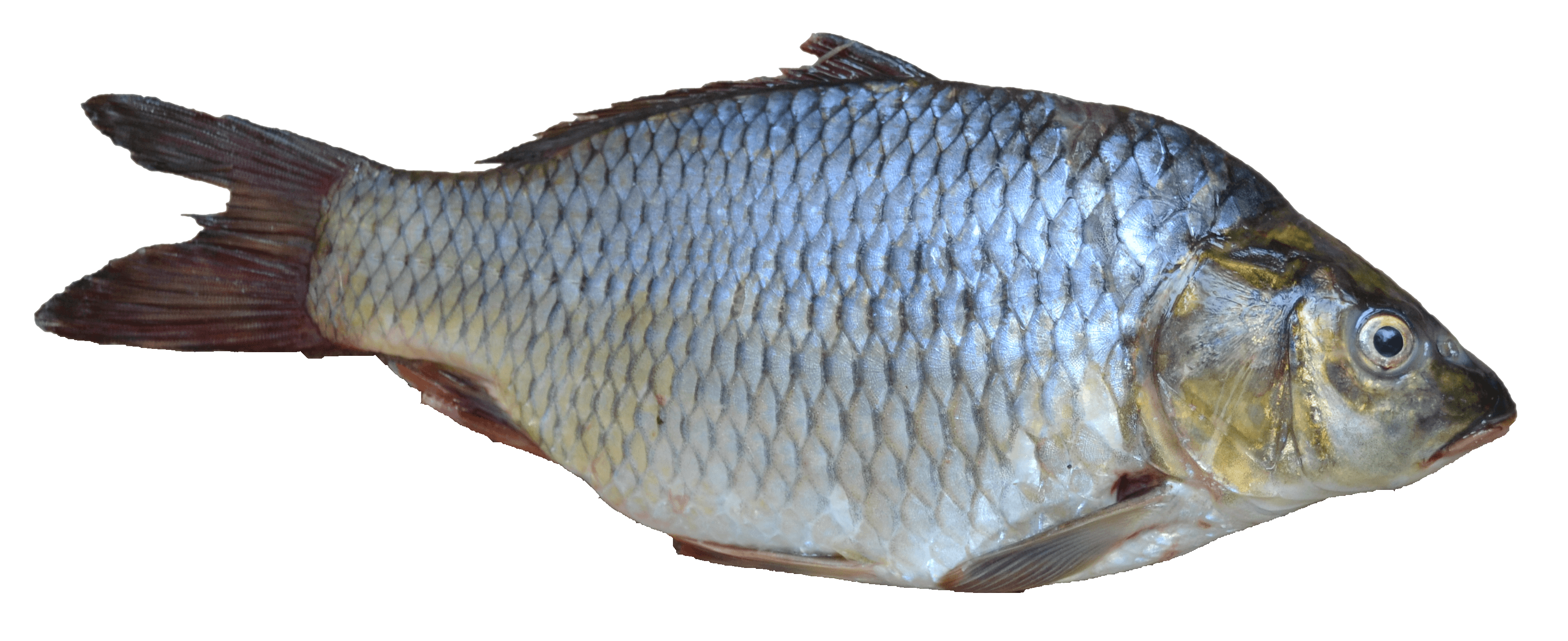 File:Feature.png