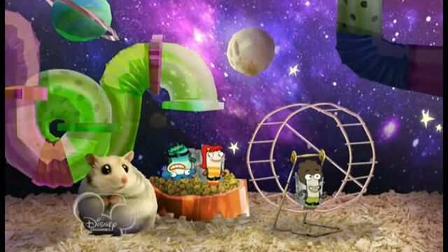 File:Rodent playground.jpg