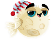 Fish-with-Attitude-Moon-Fish-Adult