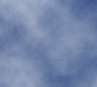7-SD blank