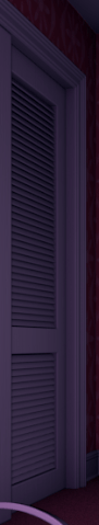 File:NRAT in closet 2.gif