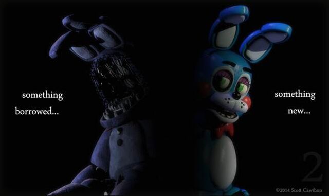 File:New bunny.jpg