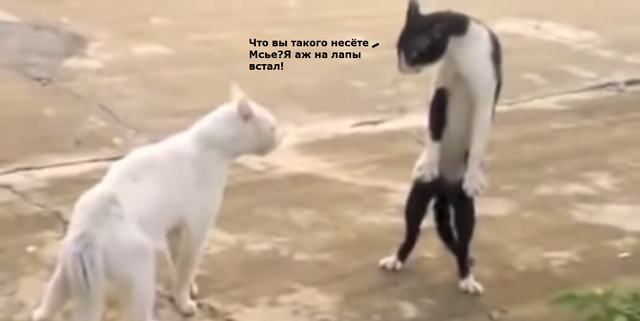 Файл:Мьсе.png
