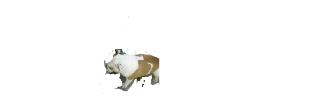 Файл:Соня 3.png