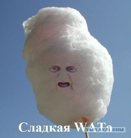 Файл:Вата.jpg